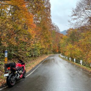 秋らしい奥志賀公園線を走るCBR650R④