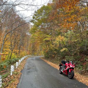 林道秋山線を走るCBR650R
