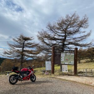 コマクサ峠で一休みwith CBR650R 