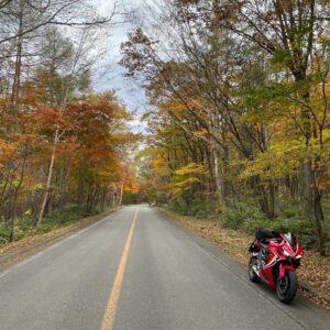 紅葉になりかけているR292のロード風景with CBR650R