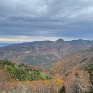 r466の秋らしいロード風景with CBR650R②