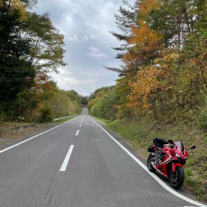 秋のつまごいパノラマラインを走るwith CBR650R⑦