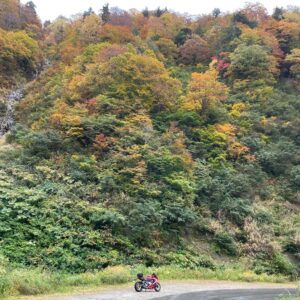 林道秋山線を走るCBR650R③