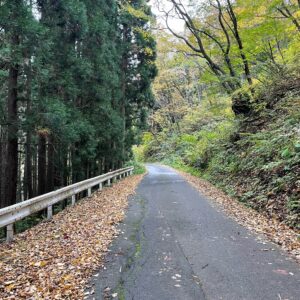 分断国道R405の北エリアを走る