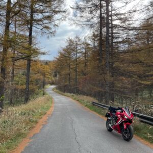 高峰高原と湯ノ丸高原をつなぐ湯ノ丸高峰林道（舗装エリア）を走るwith CBR650R