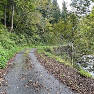 酷道R471を走る②