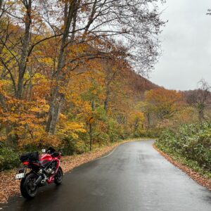 秋らしい奥志賀公園線を走るCBR650R③