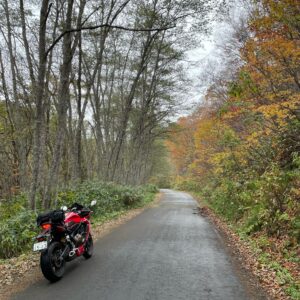 秋らしい奥志賀公園線を走るCBR650R②