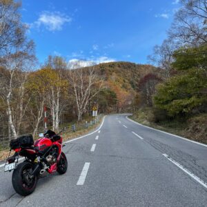 秋のチェリーパークラインを走るwith CBR650R②