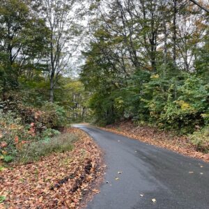 林道秋山線を走り秋山郷へ②