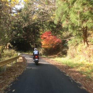 秋の奥久慈パノラマラインを走る