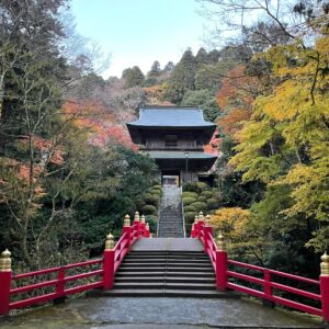 見事な秋の雲巌寺の風景