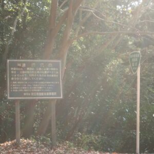 奥武蔵グリーンライン／林道清流線を走る