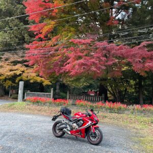 雲巌寺前の紅葉の駐車場にて