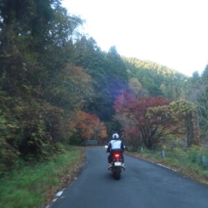 八溝山公園線/r248を走る③