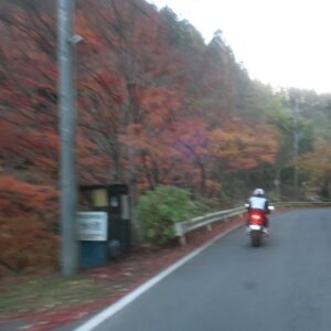 秋らしい紅葉風景が点在する茨城県r321を走る②