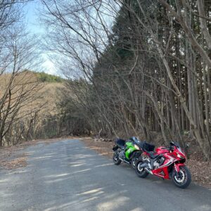 初冬の奥武蔵グリーンラインの落葉樹が並ぶ風景を走る