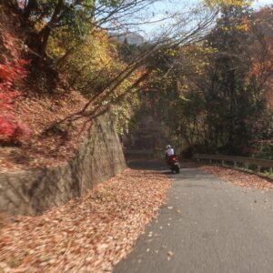 奥久慈パノラマラインの落ち葉ロードを走る