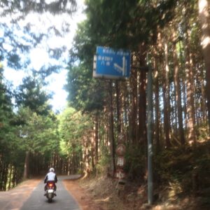 奥武蔵グリーンラインに数多くある分岐点