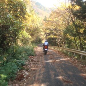 秋の奥久慈パノラマラインを走る③