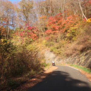 秋の武州林道/奥久慈グリーンラインを走る⑮