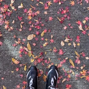 永源寺もみじ寺の紅い参道