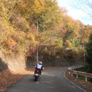 栃木県東部の花立峠へ②