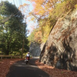 秋の武州林道/奥久慈グリーンラインを走る②