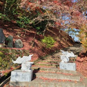 永源寺もみじ寺の紅い石段