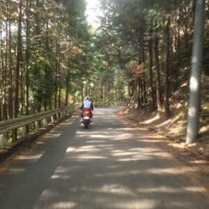 初冬の奥武蔵グリーンラインを走る③