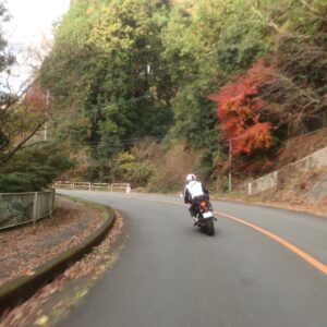 埼玉県r186を鎌北湖へ