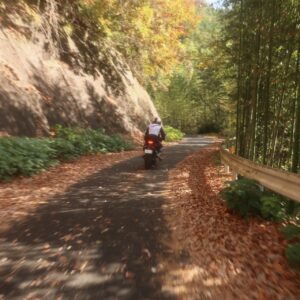 秋の奥久慈パノラマラインを走る⑤