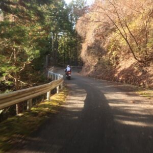 初冬の林道太田部峠2号線を走る