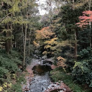 秋の雲巌寺を散策する①