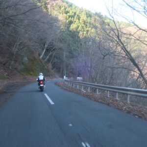 初冬の奥武蔵グリーンラインの白石峠から定峰峠へ向かうルートにて②