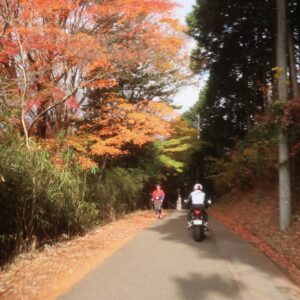 初冬の武蔵グリーンラインで出会ったウォーキングの人