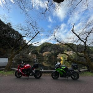 鎌北湖の落葉した冬の桜並木にてwith CBR650R & ninja650