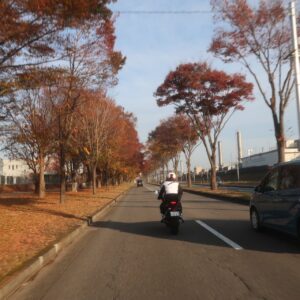 紅葉並木が続く清原中央道路を走る