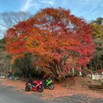 秋らしい紅葉風景が点在する茨城県r321を走る