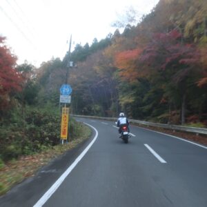 紅葉が点在する栃木県r29を走る
