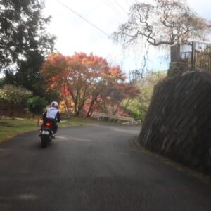 初冬の奥武蔵グリーンラインを走る（紅葉）