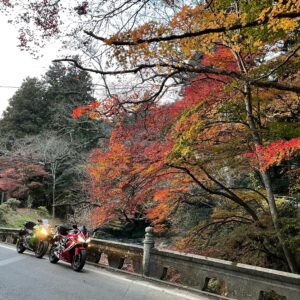 雲巌寺近くの紅葉にてwith CBR650R&ninja650