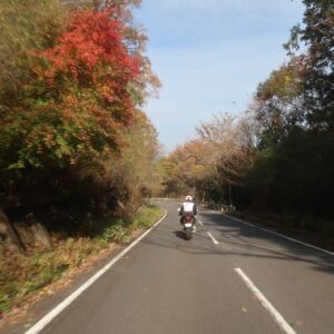 奥久慈のアップルラインを走る④