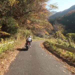 秋の奥久慈パノラマラインを走る②