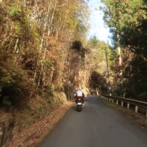 林道太田部峠線を走る