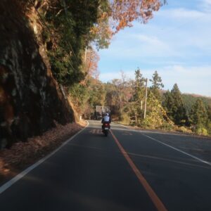 初冬のR462を流す