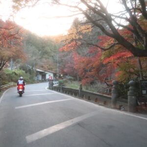雲巌寺近くの紅葉にて