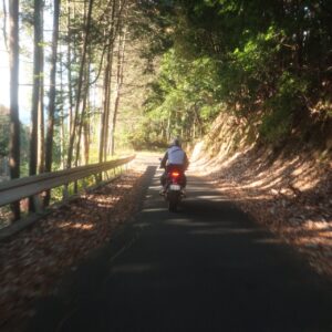 初冬の奥武蔵グリーンラインを走る②