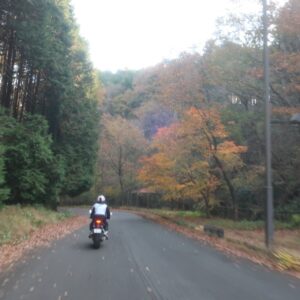 栃木県東部の花立峠へ④