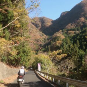 秋の奥久慈パノラマラインを走る④